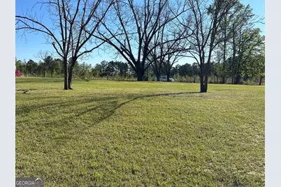 4645 Pleasant Plains Road, Harrison, GA 31035 - Photo 5