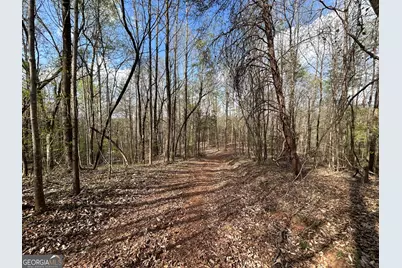 631 Jim Grizzle Road, Royston, GA 30662 - Photo 3