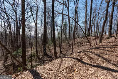 Lot 11 Rainwater Trail, Tiger, GA 30576 - Photo 27