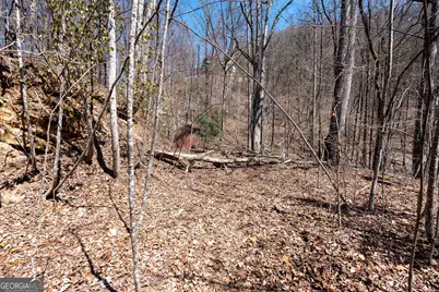 Lot 11 Rainwater Trail, Tiger, GA 30576 - Photo 61