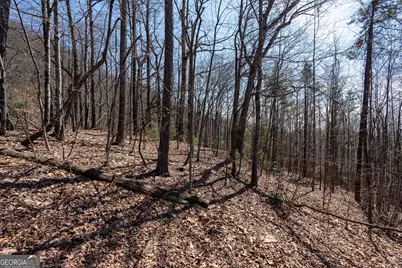 Lot 11 Rainwater Trail, Tiger, GA 30576 - Photo 33
