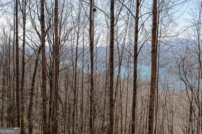 Lot 11 Rainwater Trail, Tiger, GA 30576 - Photo 35