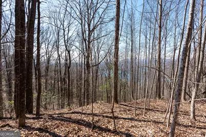 Lot 11 Rainwater Trail, Tiger, GA 30576 - Photo 39