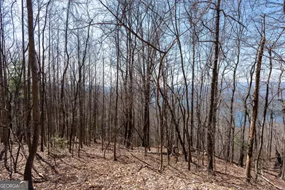 Lot 11 Rainwater Trail, Tiger, GA 30576 - Photo 47