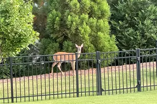 522 Cottonwood Cir, Peachtree City, GA 30269 - Photo 43