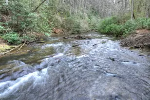 266 River Rd, Cherrylog, GA 30522 - Photo 49