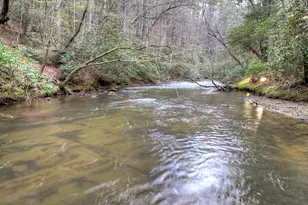 266 River Rd, Cherrylog, GA 30522 - Photo 45