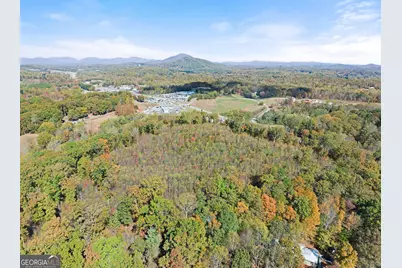 54 Totherow Road, Cleveland, GA 30528 - Photo 13