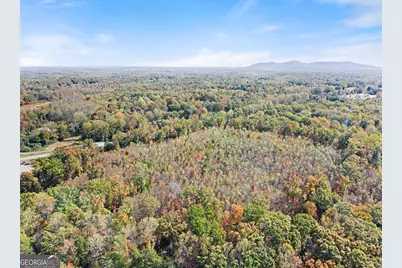 54 Totherow Road, Cleveland, GA 30528 - Photo 15