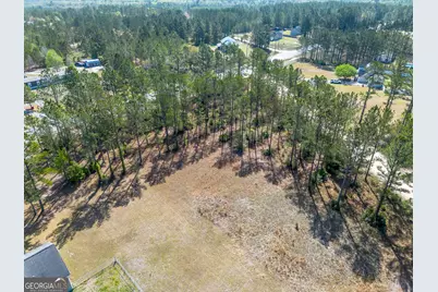 0 Highway 110 (2.02 Acres) W, Hortense, GA 31543 - Photo 5