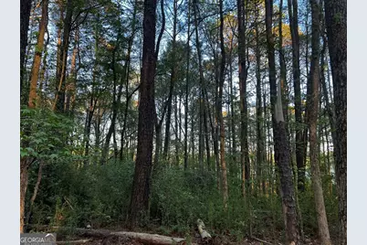 203 View Pointe Lane, Lagrange, GA 30241 - Photo 3