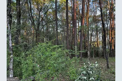 203 View Pointe Lane, Lagrange, GA 30241 - Photo 13