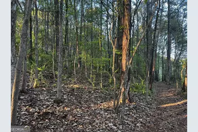 203 View Pointe Lane, Lagrange, GA 30241 - Photo 5