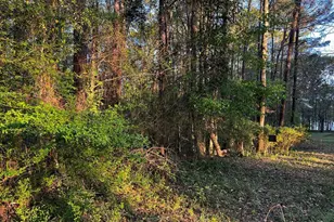 203 View Pointe Ln, Lagrange, GA 30241 - Photo 1