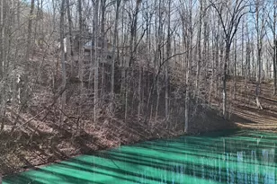 283 Chalet Dr, Sautee Nacoochee, GA 30571 - Photo 31