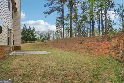 1001 Hartwell Road, Locust Grove, GA 30248 - Photo 53