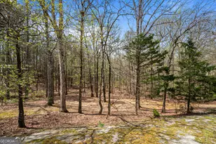 1116 Astoria Ln, Peachtree City, GA 30269 - Photo 73