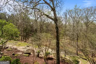 1116 Astoria Ln, Peachtree City, GA 30269 - Photo 33