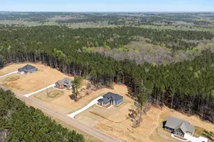 2345 New Hope Rd, Locust Grove, GA 30248 - Photo 57