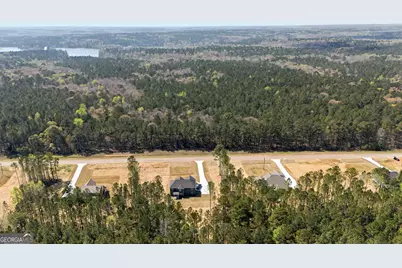 2345 New Hope Road #LOT 3, Locust Grove, GA 30248 - Photo 59