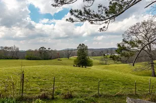 195 Wise Acres Rd, Ellijay, GA 30536 - Photo 7