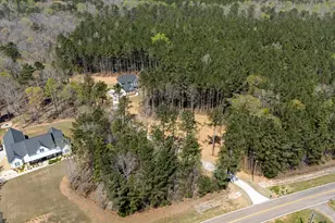 3921 Peeksville Rd, Locust Grove, GA 30248 - Photo 49