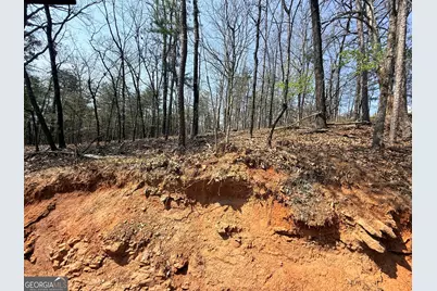 0 Baldwin Heights Road, Baldwin, GA 30511 - Photo 5