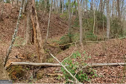 276 Bent Oak Drive, Cornelia, GA 30531 - Photo 57