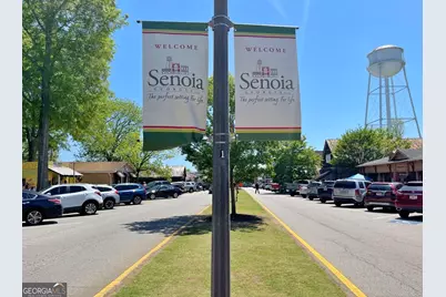 86 Spring Circle, Senoia, GA 30276 - Photo 63