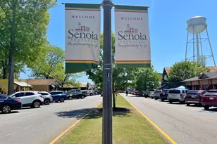 86 Spring Cir, Senoia, GA 30276 - Photo 63