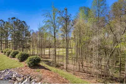 157 Chinkapin Court, Griffin, GA 30223 - Photo 35