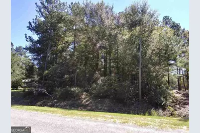 0 Glover Road, Harrison, GA 31035 - Photo 3