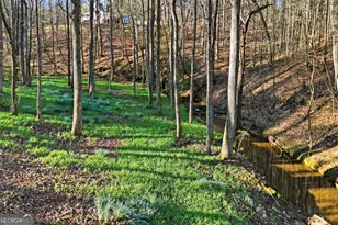 149 Hidden Creek Rd, Jasper, GA 30143 - Photo 41