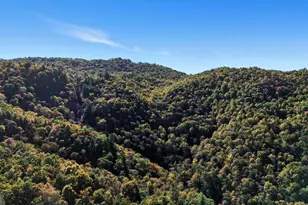 526 Granddaddy Still Rd, Scaly Mountain, NC 28775 - Photo 39