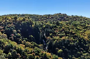 526 Granddaddy Still Rd, Scaly Mountain, NC 28775 - Photo 39