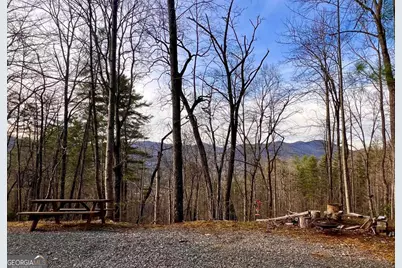 403 Barefoot Rise #49, Hiawassee, GA 30546 - Photo 29