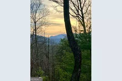 403 Barefoot Rise #49, Hiawassee, GA 30546 - Photo 7