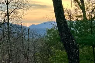 403 Barefoot Rise, Hiawassee, GA 30546 - Photo 7