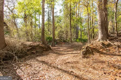 3670 Augusta Springs Drive, Waycross, GA 31503 - Photo 59