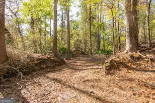 3670 Augusta Springs Dr, Waycross, GA 31503 - Photo 59