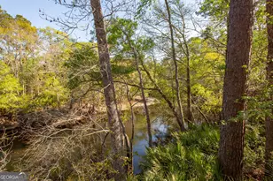 3670 Augusta Springs Dr, Waycross, GA 31503 - Photo 45