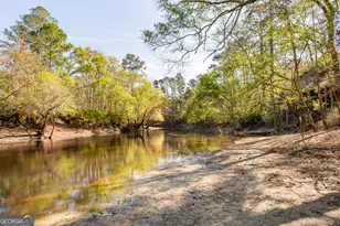 3670 Augusta Springs Dr, Waycross, GA 31503 - Photo 57