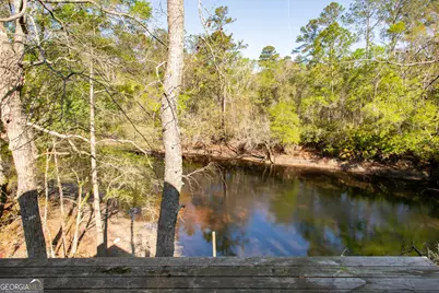 3670 Augusta Springs Drive, Waycross, GA 31503 - Photo 43