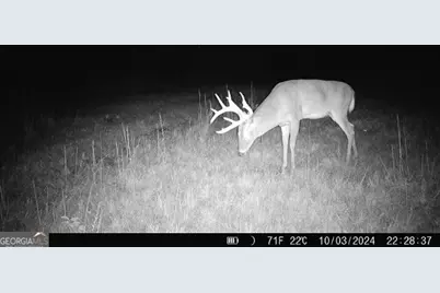 0 Sumner Road, Sumner, GA 31789 - Photo 9