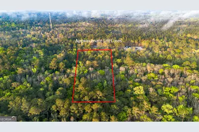 0 Little McCall Road, Rincon, GA 31326 - Photo 1