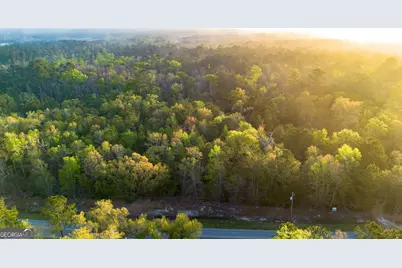 0 Little McCall Road, Rincon, GA 31326 - Photo 3