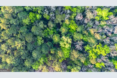 0 Little McCall Road, Rincon, GA 31326 - Photo 5