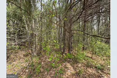 0 Highway 138, Jonesboro, GA 30236 - Photo 3