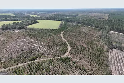 Tract 6 Ingram Road, Odum, GA 31555 - Photo 3