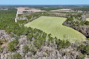 Tract 6 Ingram Rd, Odum, GA 31555 - Photo 1